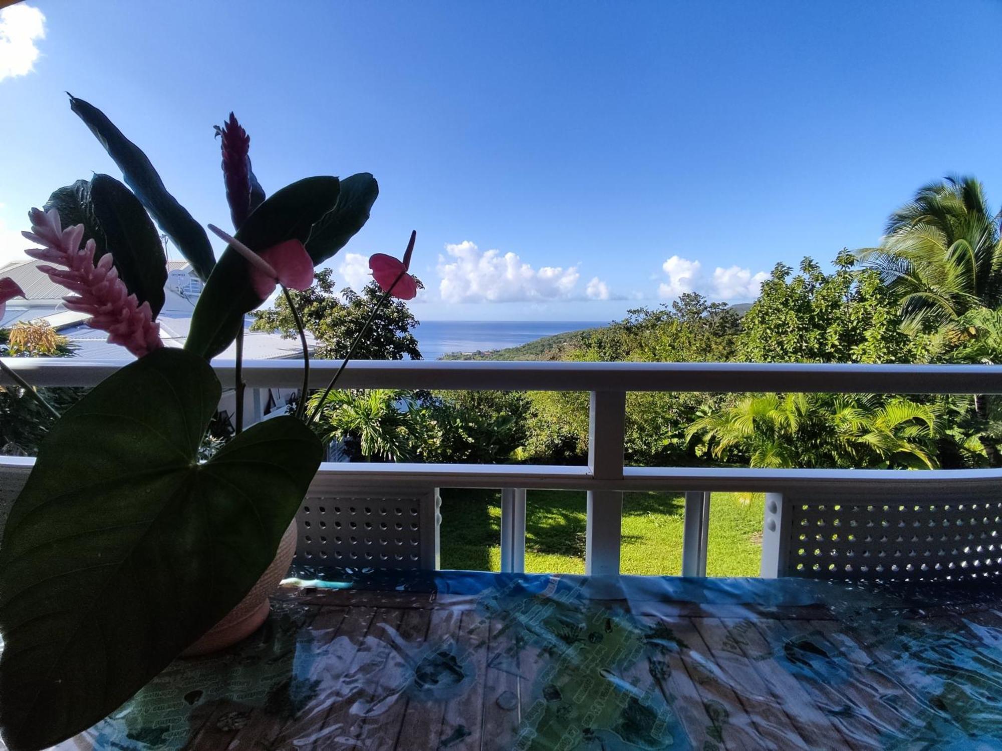 Bungalow With Sea View In Deshaies Exteriér fotografie